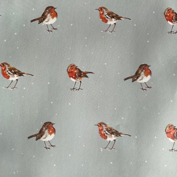 winter robins wrapping paper & gift card