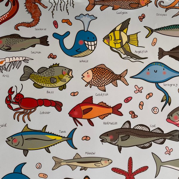 Cavallini fish wrapping paper & gift card