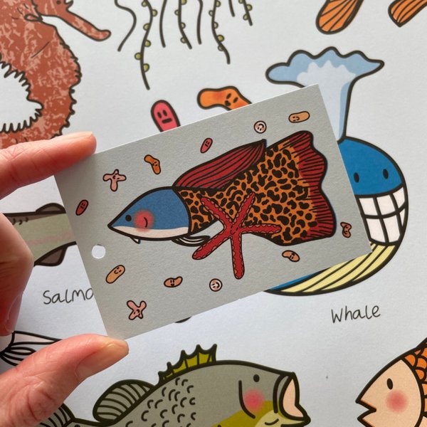 Cavallini fish wrapping paper & gift card