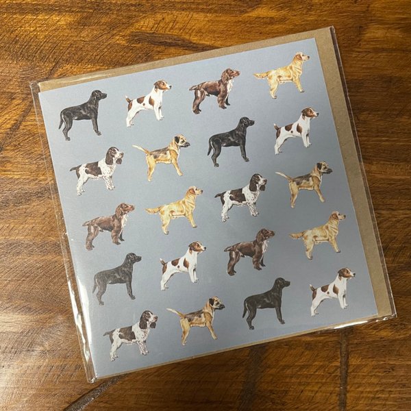 blue dogs card